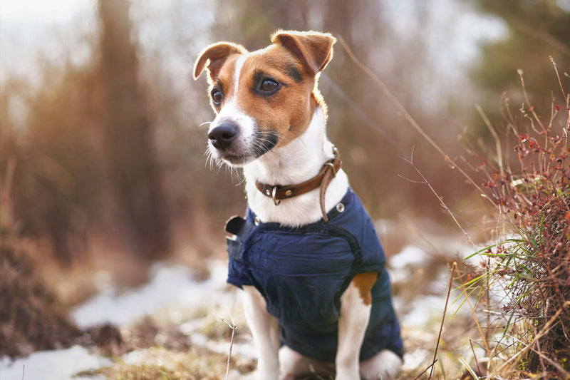 Hydration Beyond Winter