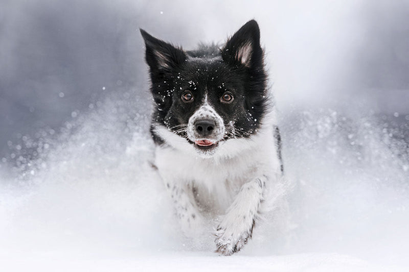 Winter Hydration