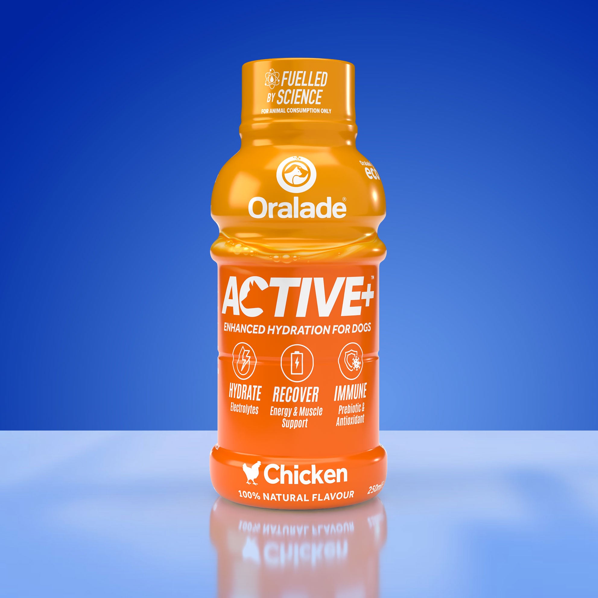 Active+ Chicken 250ml 6 Pack