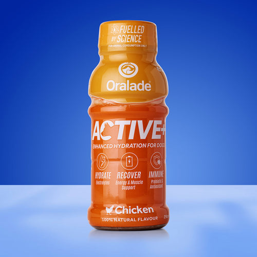 Load image 1 in gallery view. Active+ Chicken 250ml