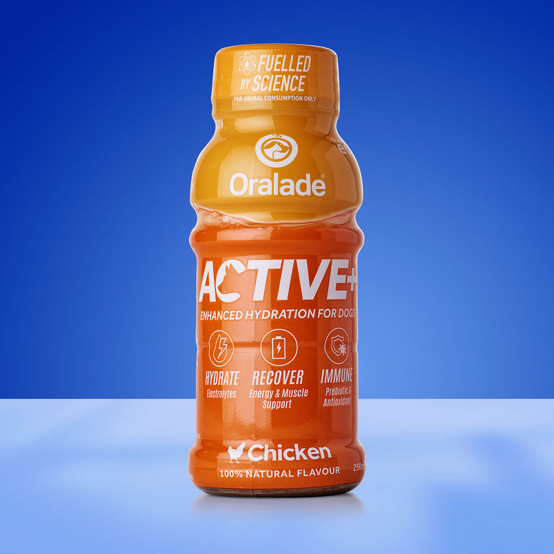 Active+ Chicken 250ml