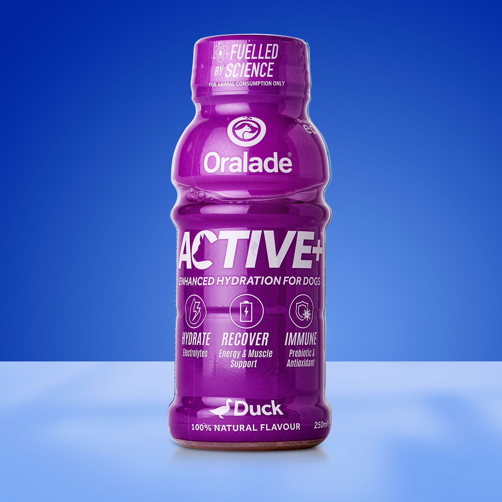 Active+ Duck 250ml