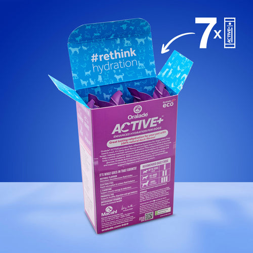 Load image 1 in gallery view. Oralade Active+ Duck Liquid Concentrate 7x50ml