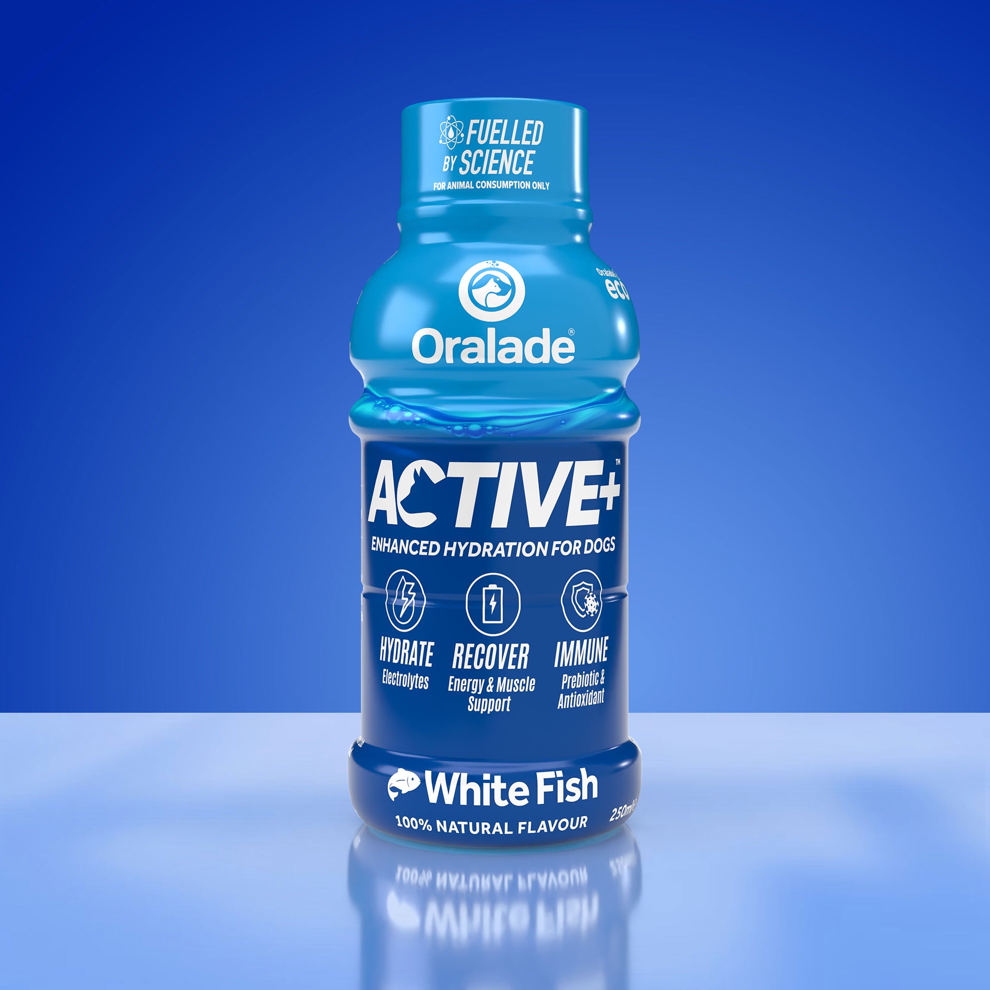 Active+ Fish 250ml 6 Pack