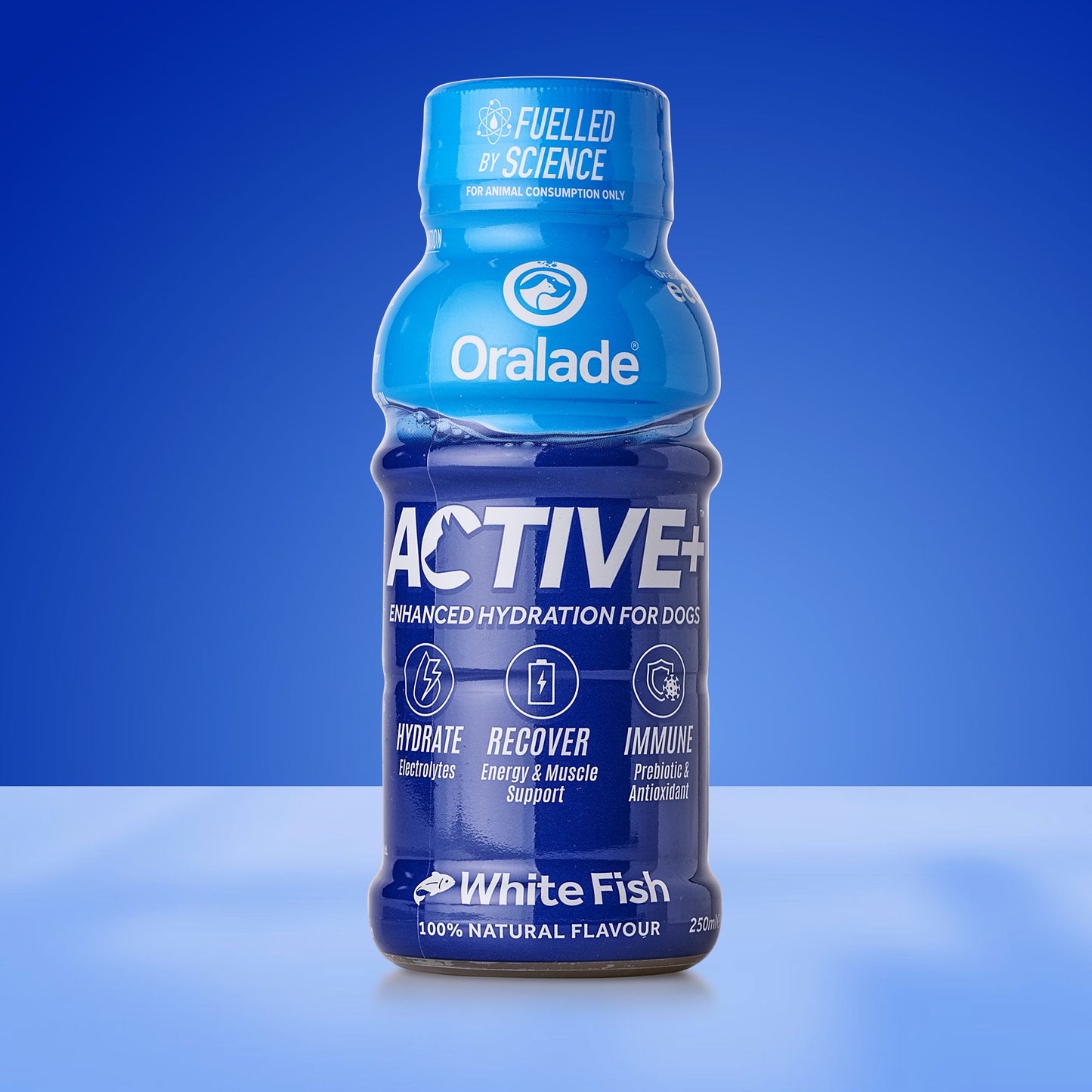Active+ Fish 250ml
