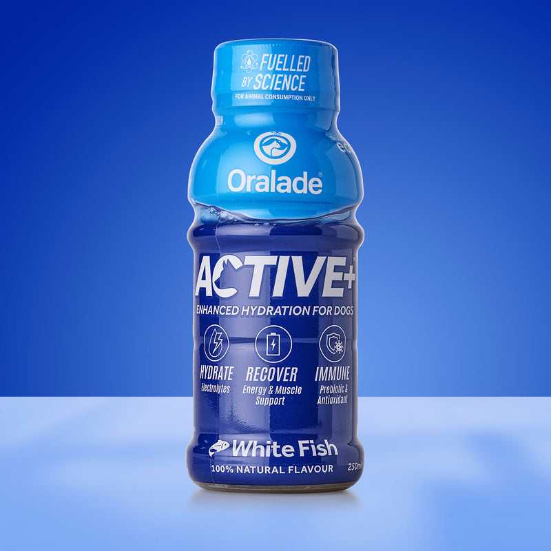 Active+ Fish 250ml