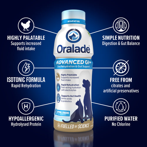 Load image 1 in gallery view. Oralade Advanced GI+ 500ml 6 Pack