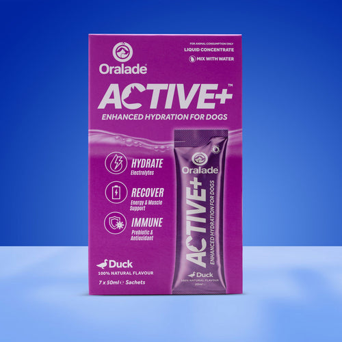Load image 1 in gallery view. Oralade Active+ Duck Liquid Concentrate 7x50ml