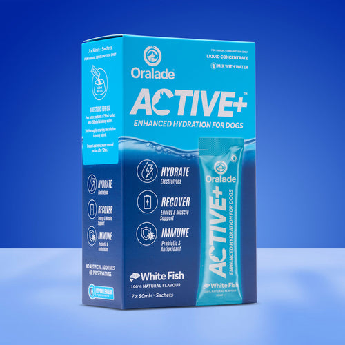 Load image 1 in gallery view. Oralade Active+ Fish Liquid Concentrate 7x50ml