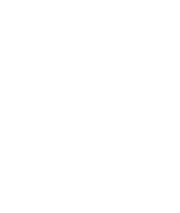 Card icon