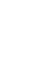 Card icon